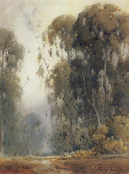 unknow artist Eucalyptus Trees